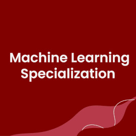 Programa especializado: Aprendizaje automático